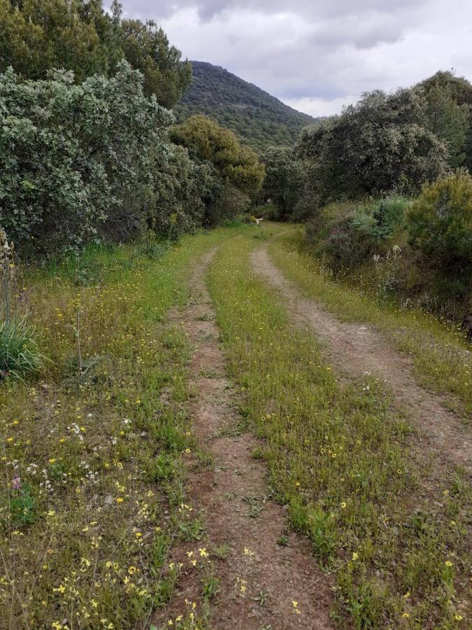Cortijo Andaluz En Sierra Morena - Naturaleza Villaviciosa de Córdoba Exterior foto
